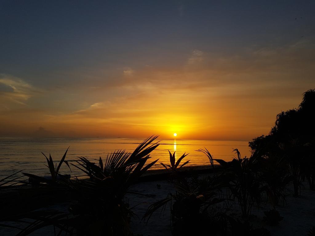 Island Guest Hotel Maamendhoo Buitenkant foto