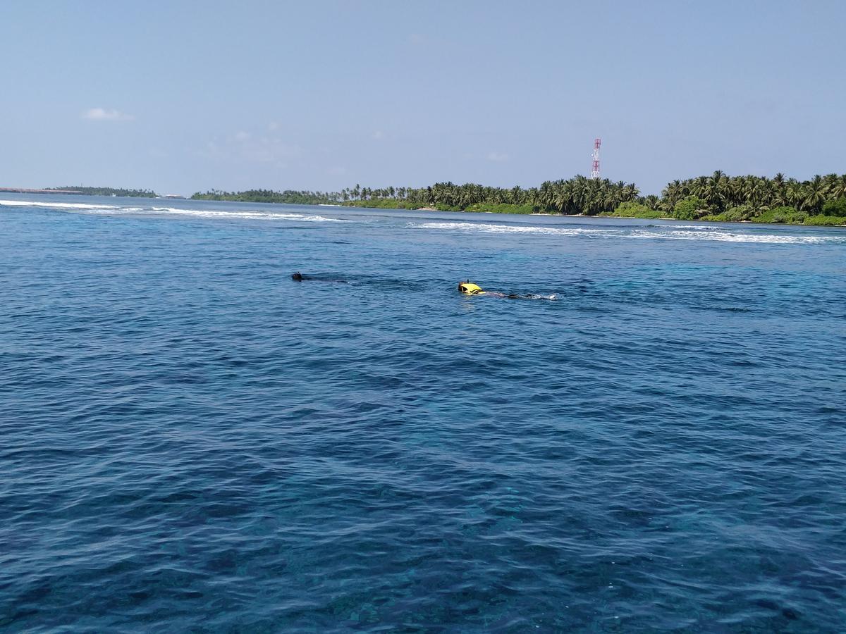 Island Guest Hotel Maamendhoo Buitenkant foto